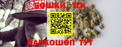 гашик Тула