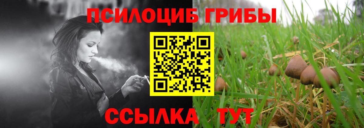 Нижнекамск  Псилоцибиновые грибы Psilocybine cubensis  Вход с VPN 